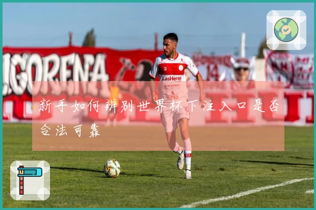 新手如何辨别世界杯下注入口是否合法可靠