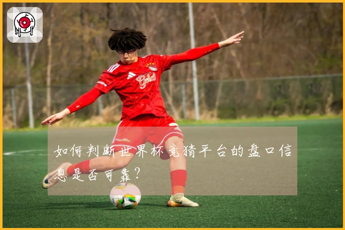 如何判断世界杯竞猜平台的盘口信息是否可靠？