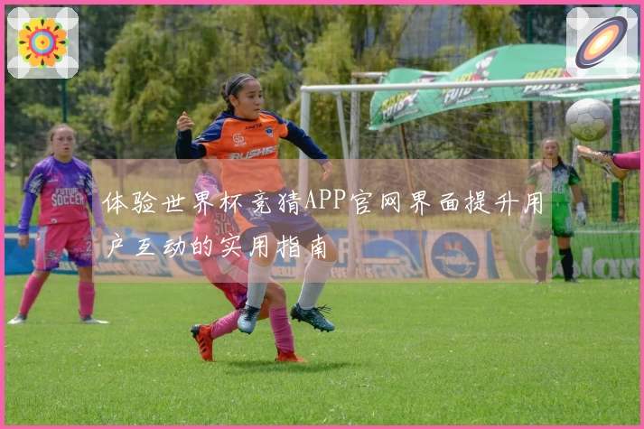 体验世界杯竞猜APP官网界面提升用户互动的实用指南