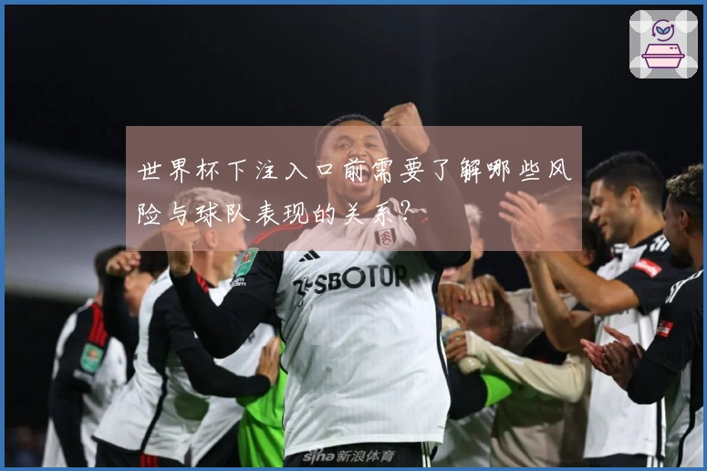 世界杯下注入口前需要了解哪些风险与球队表现的关系？
