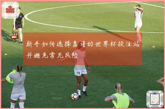 新手如何选择靠谱的世界杯投注站并避免常见风险