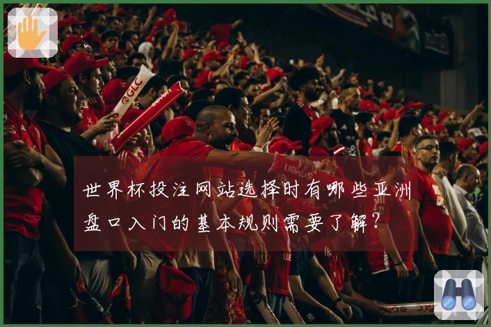 世界杯投注网站选择时有哪些亚洲盘口入门的基本规则需要了解？