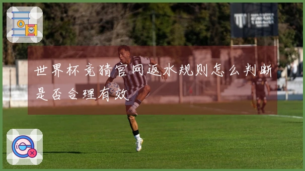 世界杯竞猜官网返水规则怎么判断是否合理有效