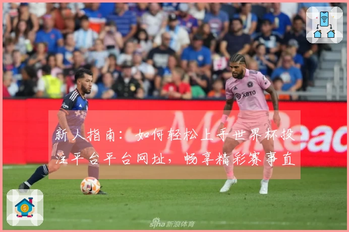 新人指南：如何轻松上手世界杯投注平台平台网址，畅享精彩赛事直播体验