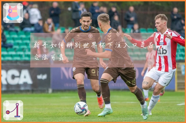 新手如何辨别世界杯下注入口是否合法可靠