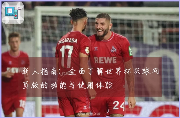 新人指南：全面了解世界杯买球网页版的功能与使用体验