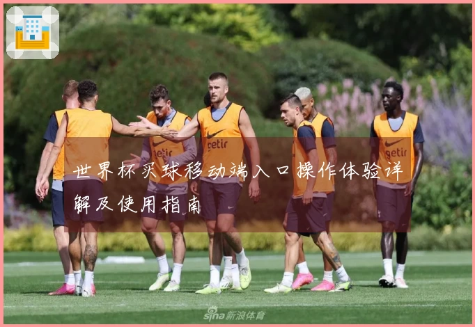 世界杯买球移动端入口操作体验详解及使用指南