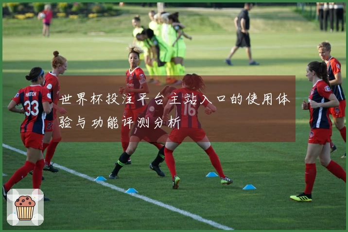 世界杯投注平台主站入口的使用体验与功能评测分析