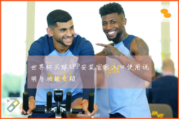 世界杯买球APP安装官方入口使用说明与功能介绍