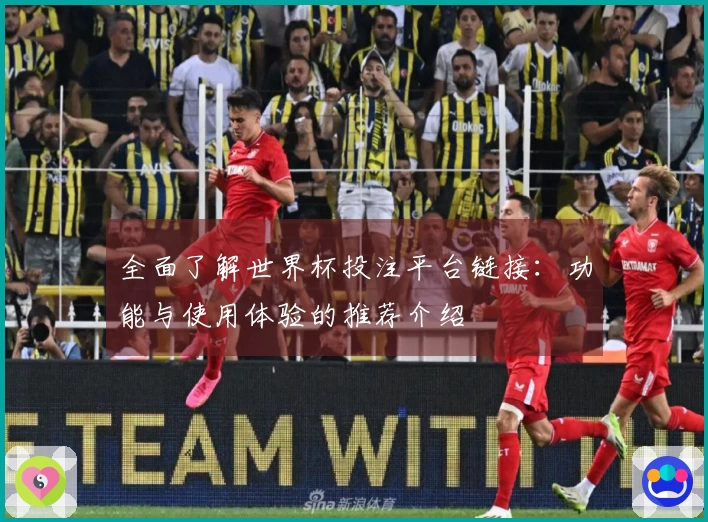 全面了解世界杯投注平台链接：功能与使用体验的推荐介绍
