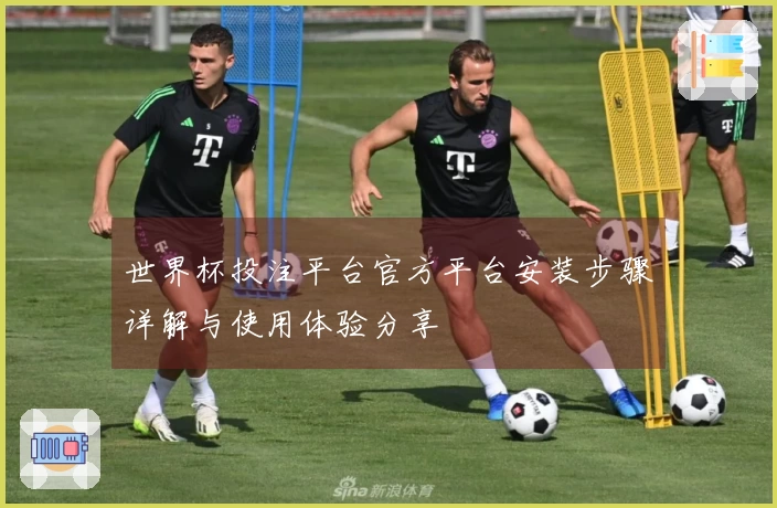 世界杯投注平台官方平台安装步骤详解与使用体验分享