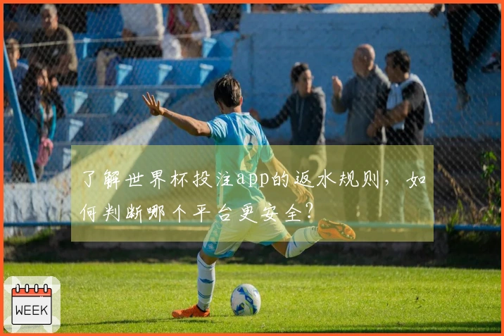 了解世界杯投注app的返水规则，如何判断哪个平台更安全？