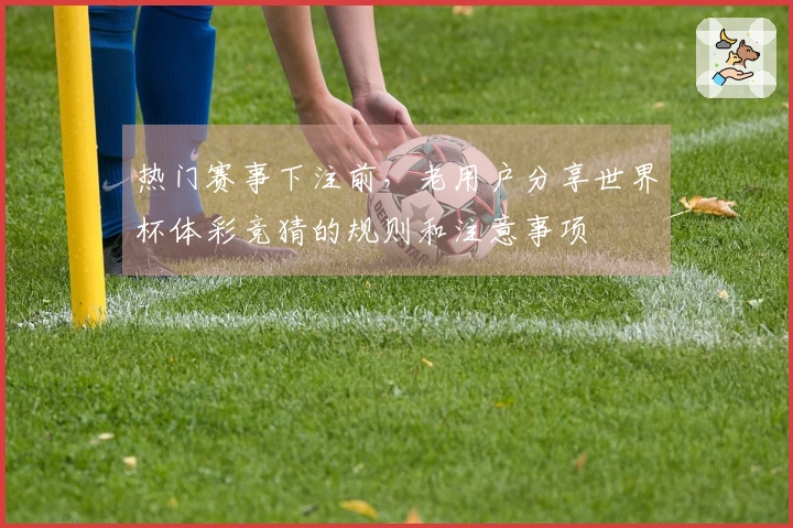 热门赛事下注前，老用户分享世界杯体彩竞猜的规则和注意事项