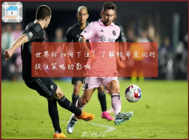 世界杯如何下注？了解赔率变化对投注策略的影响