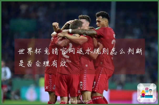世界杯竞猜官网返水规则怎么判断是否合理有效