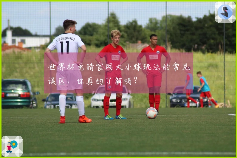 世界杯竞猜官网大小球玩法的常见误区，你真的了解吗？