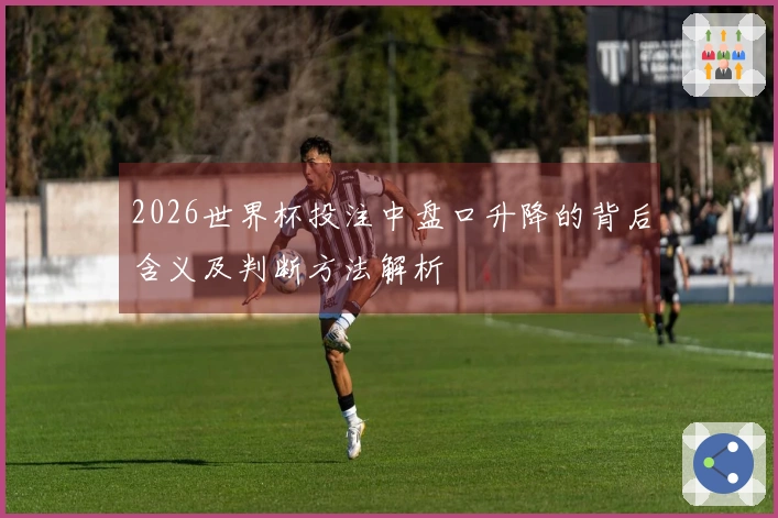 2026世界杯投注中盘口升降的背后含义及判断方法解析