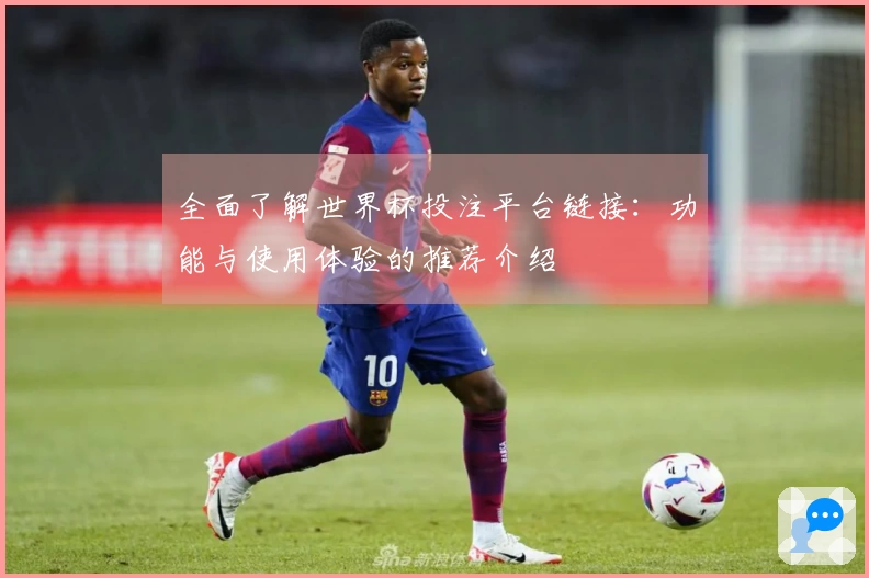 全面了解世界杯投注平台链接：功能与使用体验的推荐介绍