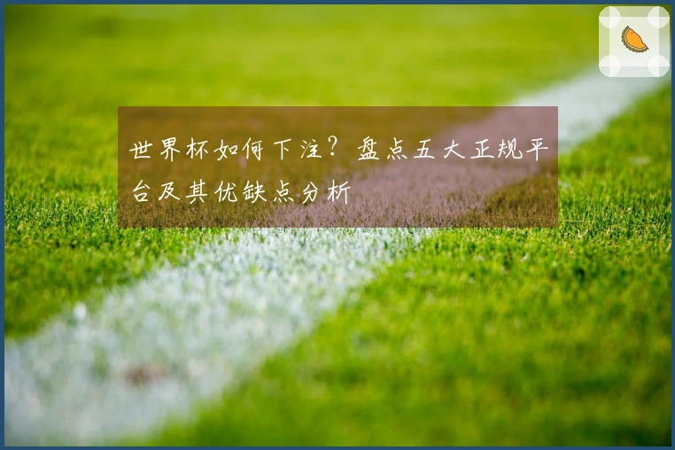 世界杯如何下注？盘点五大正规平台及其优缺点分析