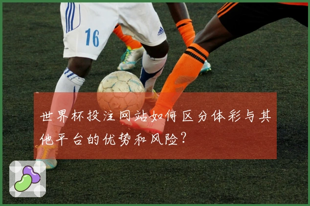 世界杯投注网站如何区分体彩与其他平台的优势和风险？