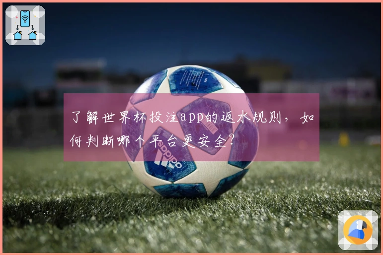 了解世界杯投注app的返水规则，如何判断哪个平台更安全？