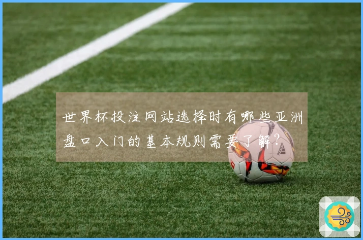 世界杯投注网站选择时有哪些亚洲盘口入门的基本规则需要了解？