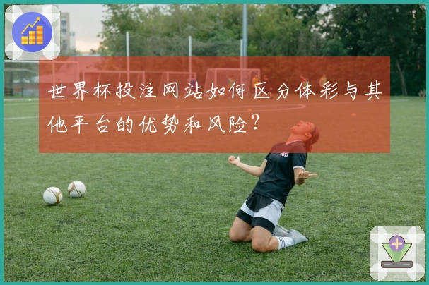 世界杯投注网站如何区分体彩与其他平台的优势和风险？