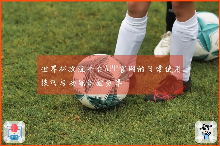 世界杯投注平台APP官网的日常使用技巧与功能体验分享